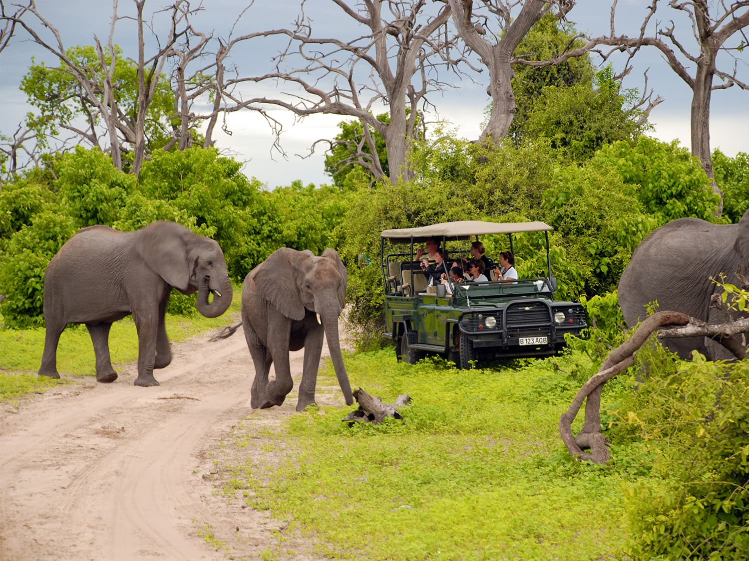 Game Drive